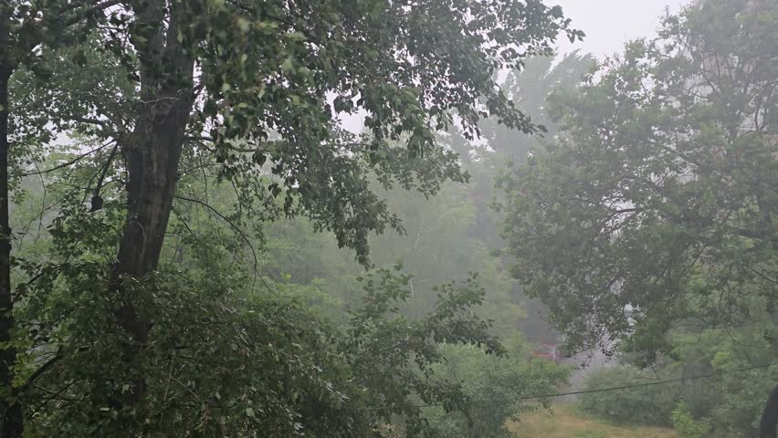 Summer rainy weather with falling rain, wet asphalt, puddles, green trees and dramatic overcast sky. Atmospheric landscape during a thunderstorm with gloomy clouds, fresh nature and seasonal precipitation.