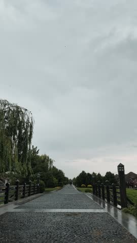 Vertical stock footage of a slow camera movement along an empty wet cobblestone alley in a public park after rain. Green trees along the pathway under a moody overcast sky. Tranquil scenery