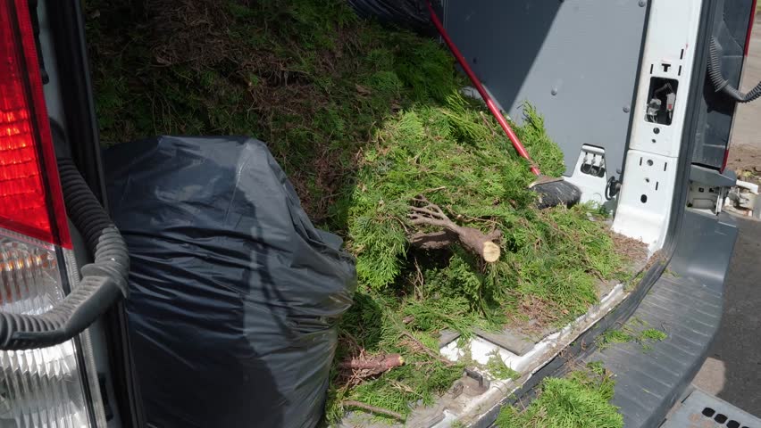 Person piles freshly cut garden weeds into the back of a van, filling it with greenery for compost disposal during a recycling trip.
