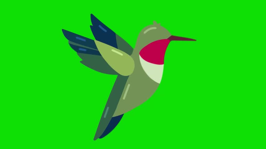 Colorful hummingbird flying video for wildlife and garden nature illustration.