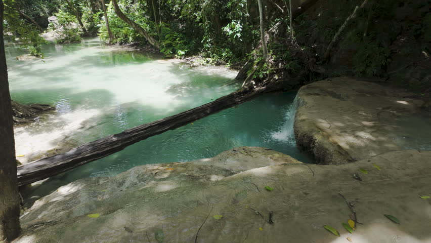 A long fallen log bridges a milky blue river as water seeps over smooth limestone ledges under partial jungle shade.