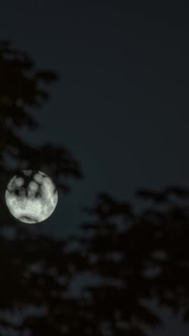 Vertical time lapse of full moon with blurred tree branches in foreground. There is a lonely star in the sky.