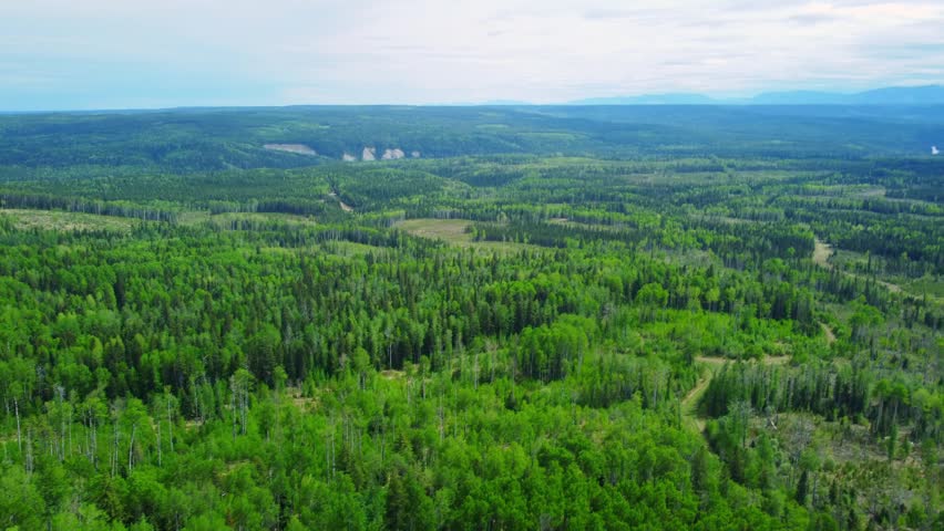 Drone Footage of Boreal Forest and Prairie Landscape in Alberta, Canada