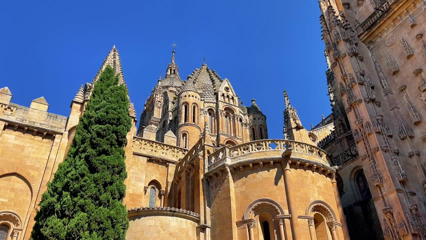Low angle view of the Old Cathedral of Salamanca dome in Spain	