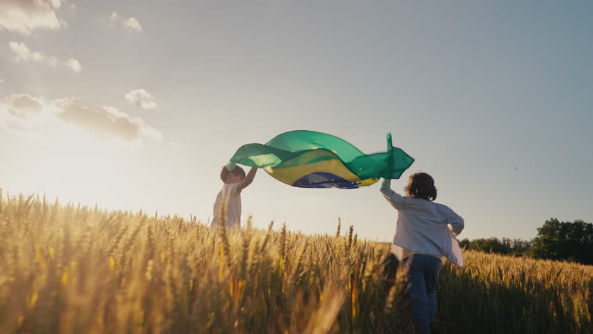 Brazilian little kids - soccer fans children running with national flag on nature field background at summer sunset. Brazil celebration banner, holidays in America.Brazil, Brazilian, Brazil, soccer, f