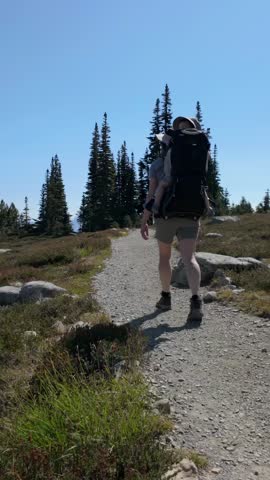 Parent and Child Hiking a Scenic Mountain Trail in Whistler, British Columbia, Canada