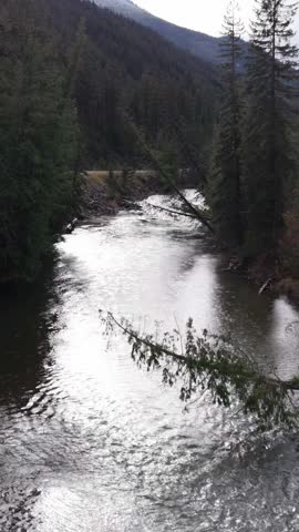 Serene River Flowing Through Lush Forest with a Scenic Road in British Columbia, Canada