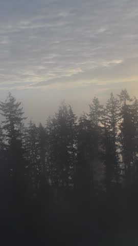 Golden Hour Sunrise Over Foggy Burnaby, British Columbia Forest