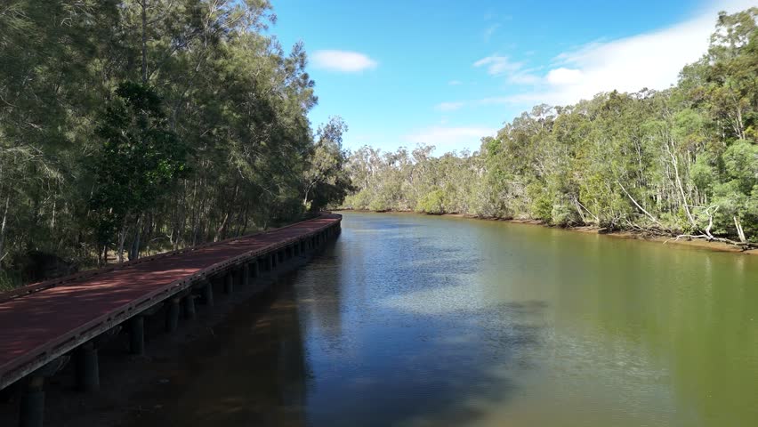 Smooth aerial drone shot gliding over a wooden conservation boardwalk winding through a lush green wetland. A calm creek snakes alongside the pathway, reflecting natural daylight.