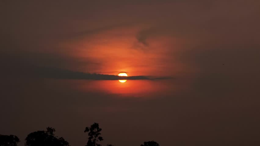 Sunset behind the tree, orange sky.