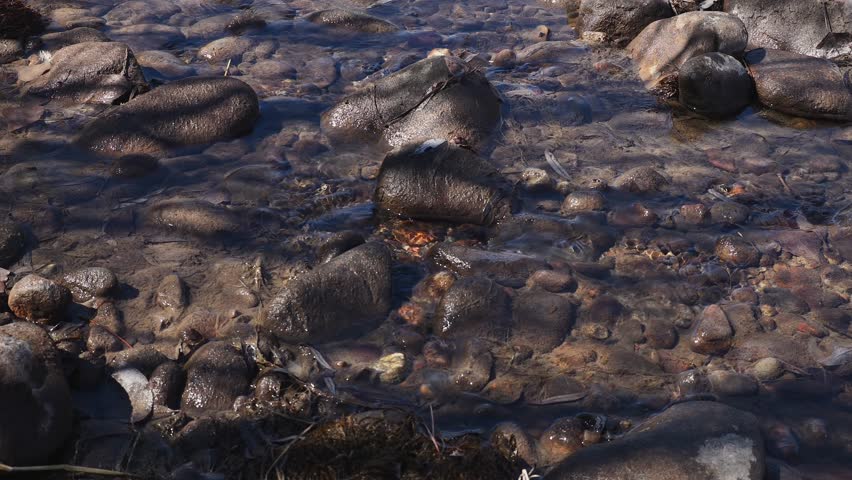 A rocky rapid on a river, early spring, low water, close-up