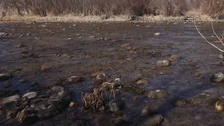 A rocky rapid on a river, early spring, low water, close-up