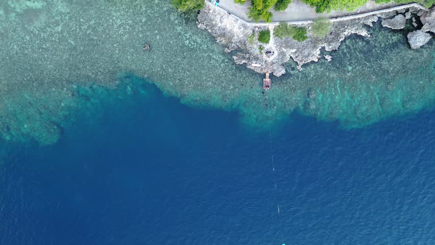 Aerial View of Tropical Coastline and Clear Blue Water