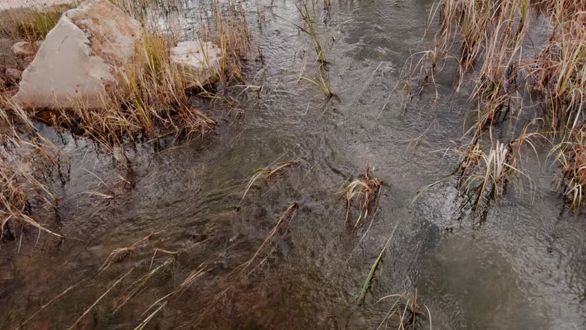Shallow water flows gently across a marsh with grass and rocks