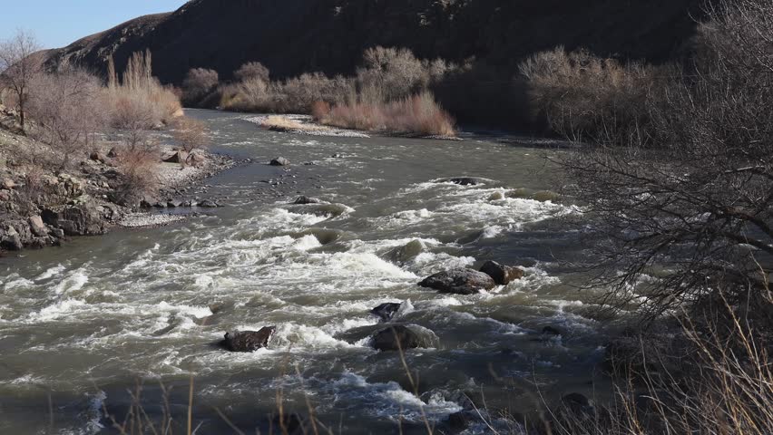 Early spring, a turbulent river flowing through steep cliffs, white water, fast streams, dry bushes, lifeless bushes growing along the rocky banks