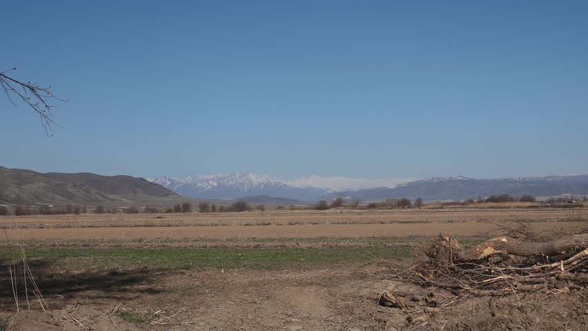 Plowed land in a rural field, uprooted trees in the foreground, early spring, snow-capped mountains in the distance, close-up