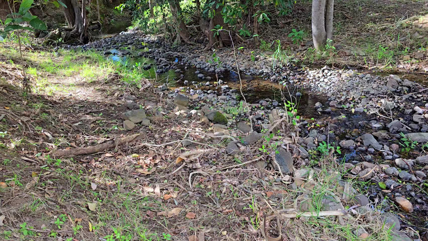 Tilt up, A creek with water trickling over the rocks surrounded by bush and green leafed trees.