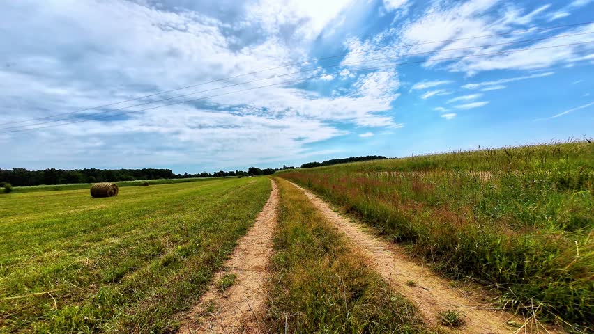 Dirt path dividing lush green fields under a blue sky with scattered clouds