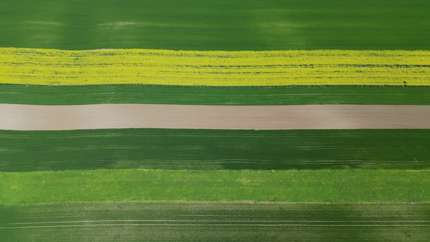 Straight down aerial perspective of agricultural fields with yellow canola and green crops