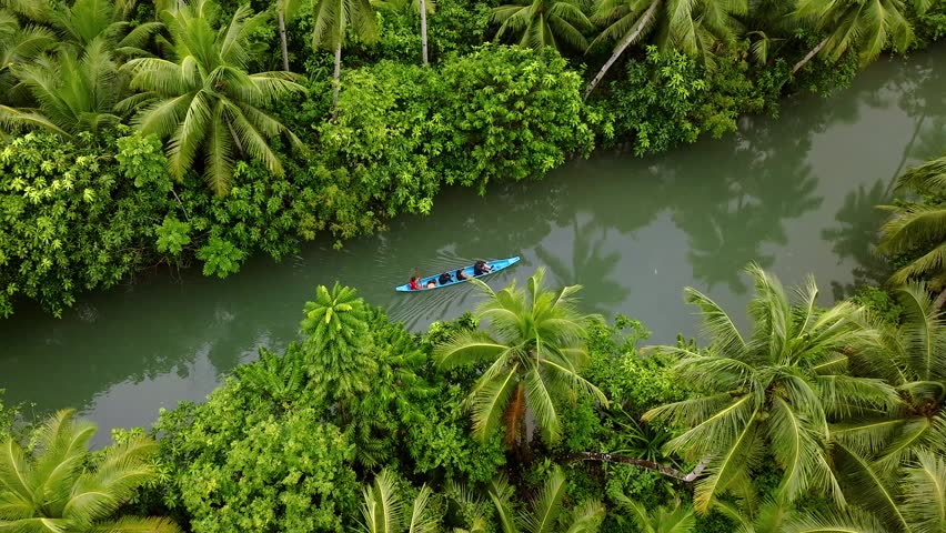 Aerial view of a small boat with people navigating a river through dense palm trees and lush jungle vegetation on Siargao Island in Caraga, Philippines.