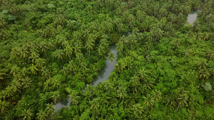Aerial view of a small boat navigating a winding river through a dense tropical palm forest on Siargao Island in Caraga, Philippines.