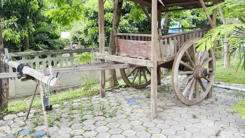 Vintage-style wooden cart for oxen or buffalo (for cargo transport)