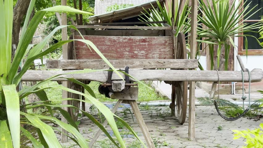 Vintage-style wooden cart for oxen or buffalo (for cargo transport)