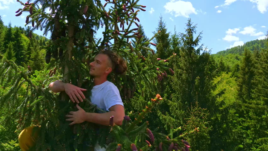 In a serene forest setting, a young man balances on a branch amid lush green trees under a clear blue sky, embodying a zen-like state.
