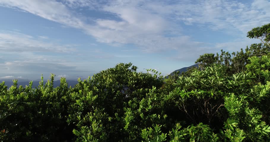 Landscape in Hong Kong, China	