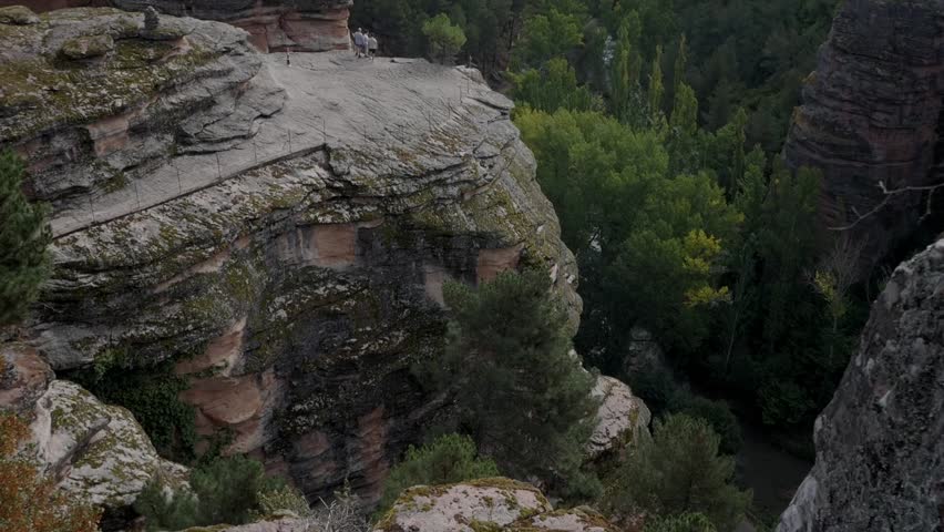 Wide rocky cliffs overlook dense green forest in a dramatic natural canyon landscape