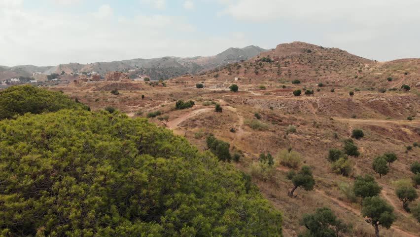 A woman wearing outdoor clothing walks steadily along a winding dirt path on a hillside with sparse trees and dense pine, surrounded by a serene landscape.