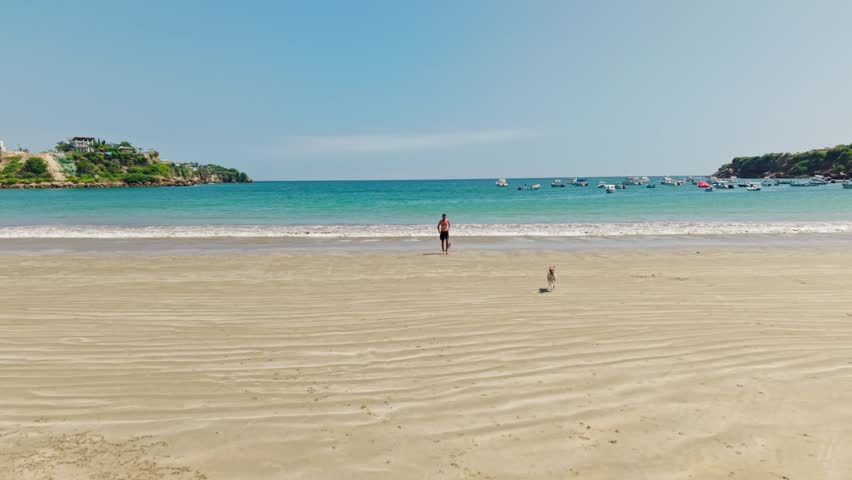 Young man and his puppy walking towards the camera on a sandy beach with a beautiful bay behind them