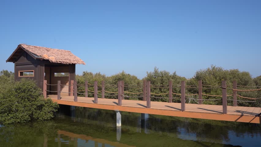 al thakira, mangroves, purple island, qatar, al khor, middle east, arabian gulf, boardwalk, wooden bridge, walkway, hut, shelter, cabin, hide, bird watching, observation deck, thatched roof, path, trail, eco tourism, nature reserve, wetland, swamp, lagoon, water, coast, shore, coastal ecosystem, landscape, scenic, side view, sunny day, clear sky, blue sky, horizon, wilderness, environment, conservation, outdoor, adventure, travel destination, exploration, natural escape, tranquility, serenity, daytime, bright, peaceful, green vegetation
