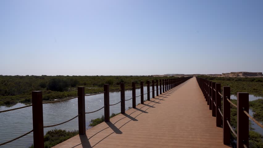 A perspective view looking down a long, wooden pedestrian boardwalk stretching across the tidal channels and marshes of Al Thakira nature reserve. Bordered by green mangrove bushes under a clear blue sky, the walkway connects visitors to the scenic coastal environment of northern Qatar.