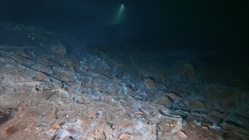 Professional diver swimming with a flashlight in the dark waters of a cenote
