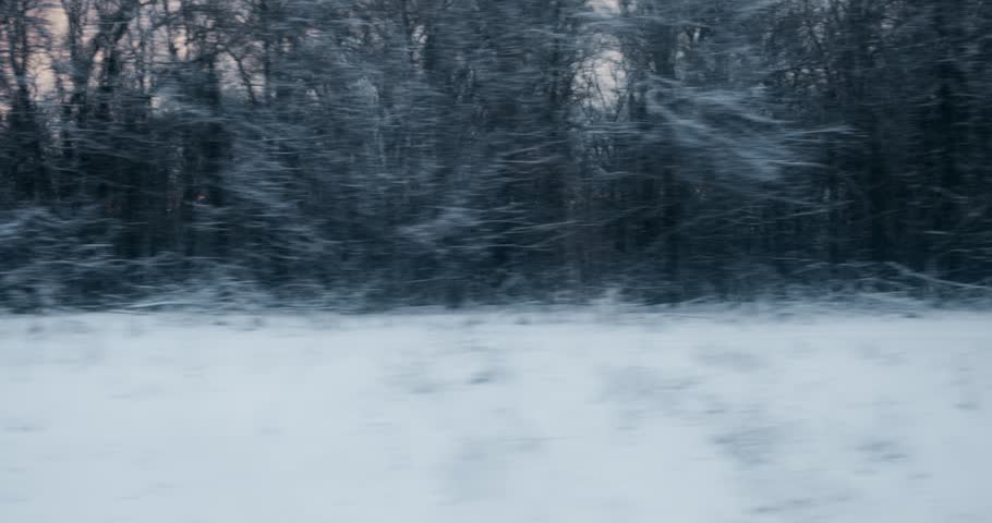 Winter Forest Landscape Viewed from Moving Train