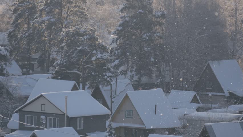 Winter scene with snow-covered houses surrounded by trees in a quiet village during the day