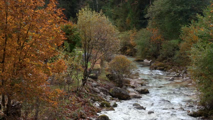 Rushing stream with clear water flowing over rocks in a colorful woodland during fall season.