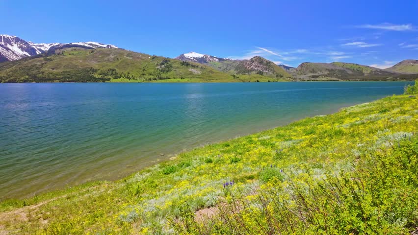 Sweeping panoramic view of Jackson Lake shoreline with Teton mountains rising in the background on a sunny day