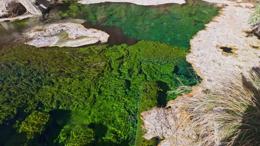 Crystal clear emerald thermal pool at Hot Springs State Park in Thermopolis Wyoming showcasing naturally heated mineral water