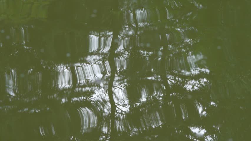 Green Tree Reflection On Rippling Water Surface In A Serene Forest Pond Landscape.