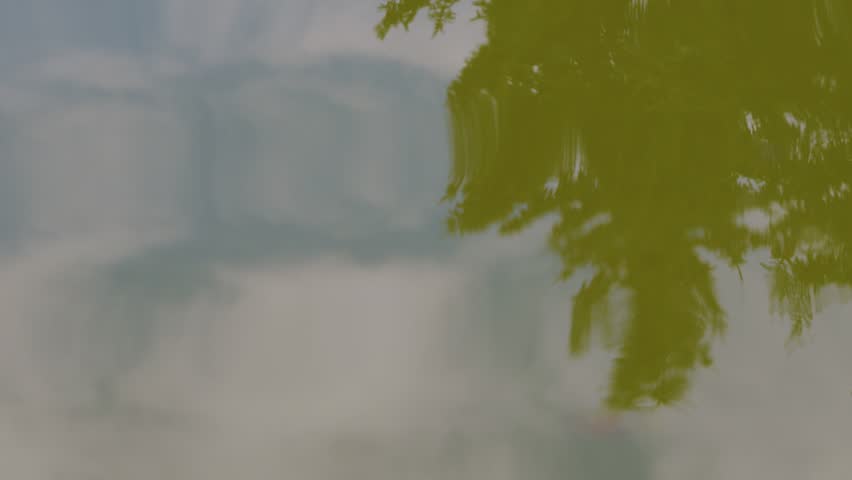 Green Tree Reflection On Rippling Water Surface In A Serene Forest Pond Landscape.