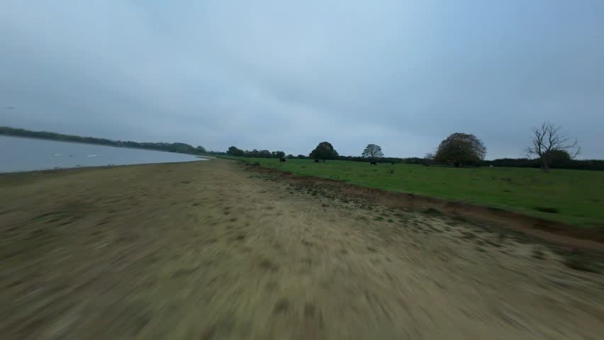 Low angle FPV drone point of view flying fast over a large lake with wild ducks taking off under gloomy autumn skies.