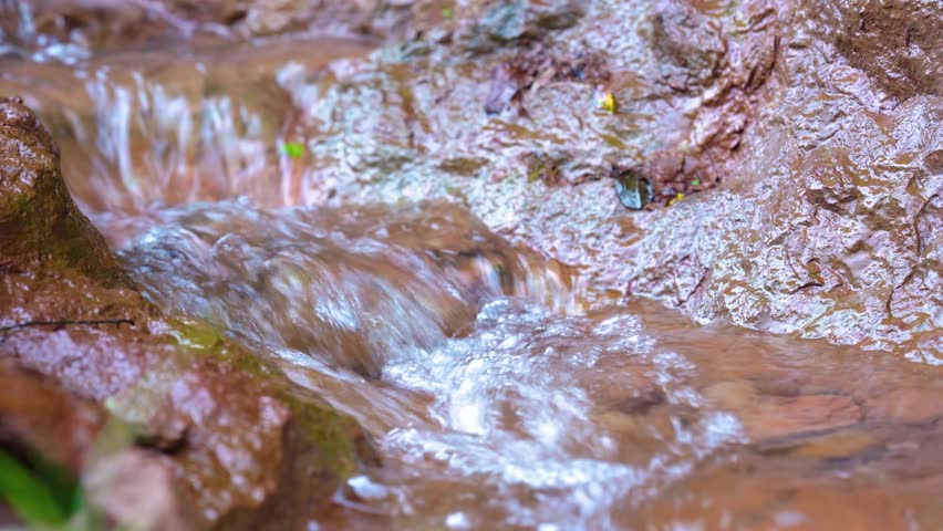 Clear Mountain Stream Flowing Over Wet Brown Rocks in a Natural Forest Setting