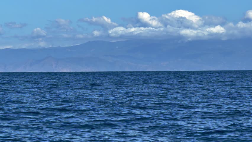 A blue whale advances very slowly through calm blue water near the surface, observed from a whale watching vessel.