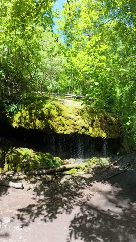 Small natural waterfalls flowing over moss-covered rocks in a lush green forest on a sunny summer day. Peaceful woodland scenery with fresh water and vibrant foliage.