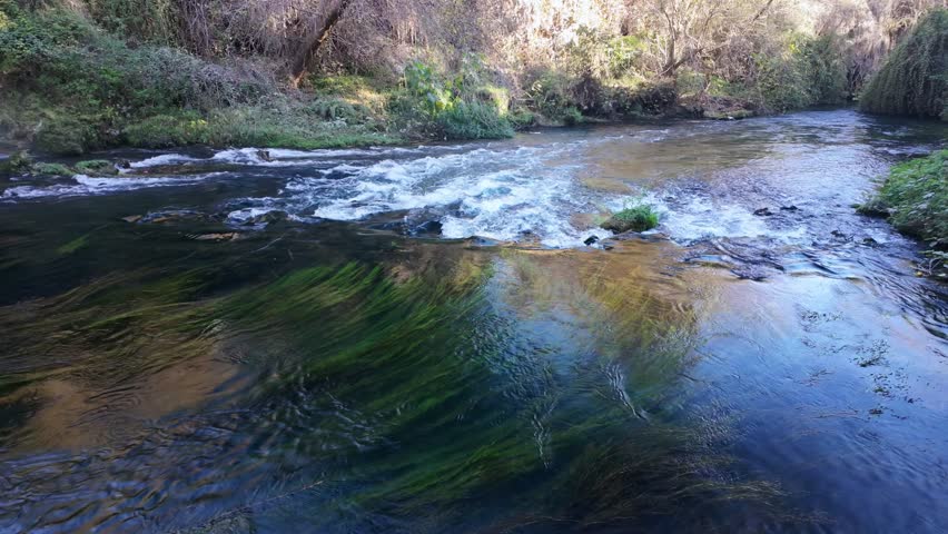 Natural river current flowing gently through autumn forest with rippling reflections.