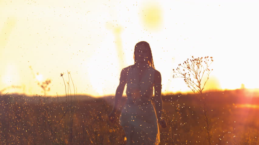 Backlit Dacian woman walks in a field at golden hour, dust and insects sparkling in warm sunset light.