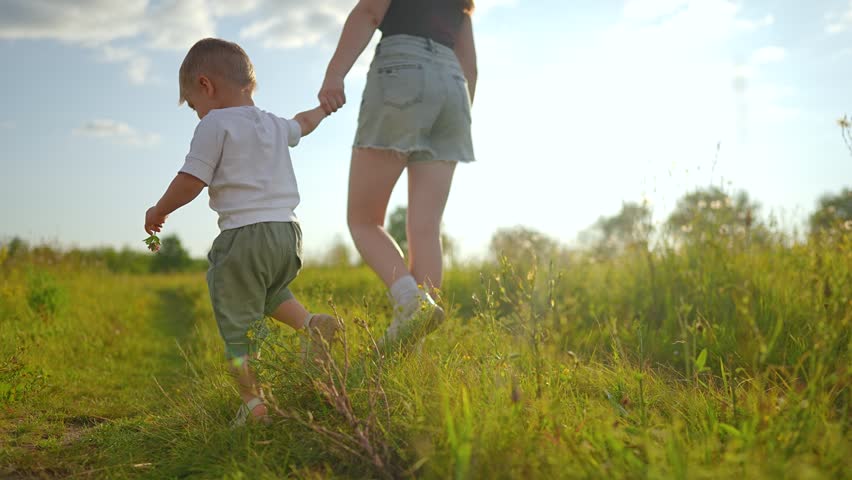 Mother walks with son holding hands in meadow. Woman and child walking together outdoor. Parent guides toddler through field. Mom with boy in nature. Family walks in summer meadow together.