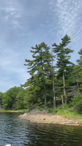 Bone Island of Georgian Bay Islands National Park with rocky shore and towering pines